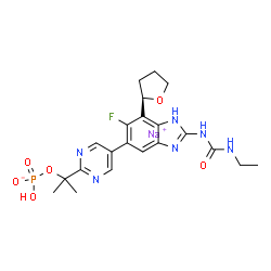 ChemSpider 2D Image | Sodium 2-(5-{2-[(ethylcarbamoyl)amino]-6-fluoro-7-[(2R)-tetrahydro-2-furanyl]-1H-benzimidazol-5-yl}-2-pyrimidinyl)-2-propanyl hydrogen phosphate | C21H25FN6NaO6P