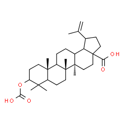 ChemSpider 2D Image | (5xi,9xi,13xi,17xi,18xi,19xi)-3-(Carboxyoxy)lup-20(29)-en-28-oic acid | C31H48O5