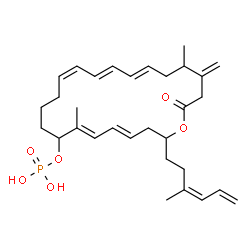 ChemSpider 2D Image | (4E,6E,12Z,14E,16E)-7,19-Dimethyl-20-methylene-2-[(3Z)-3-methyl-3,5-hexadien-1-yl]-22-oxooxacyclodocosa-4,6,12,14,16-pentaen-8-yl dihydrogen phosphate | C31H45O6P