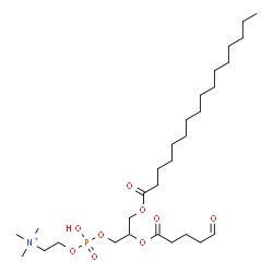 ChemSpider 2D Image | 4-Hydroxy-N,N,N-trimethyl-10-oxo-7-[(5-oxopentanoyl)oxy]-3,5,9-trioxa-4-phosphapentacosan-1-aminium 4-oxide | C29H57NO9P