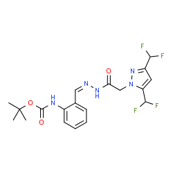 ChemSpider 2D Image | 2-Methyl-2-propanyl {2-[(Z)-({[3,5-bis(difluoromethyl)-1H-pyrazol-1-yl]acetyl}hydrazono)methyl]phenyl}carbamate | C19H21F4N5O3