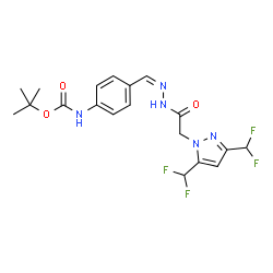 ChemSpider 2D Image | 2-Methyl-2-propanyl {4-[(Z)-({[3,5-bis(difluoromethyl)-1H-pyrazol-1-yl]acetyl}hydrazono)methyl]phenyl}carbamate | C19H21F4N5O3