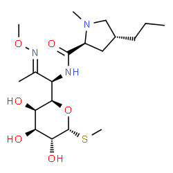ChemSpider 2D Image | Methyl (5R)-5-[(1R,2E)-2-(methoxyimino)-1-{[(4R)-1-methyl-4-propyl-L-prolyl]amino}propyl]-1-thio-beta-L-arabinopyranoside | C19H35N3O6S