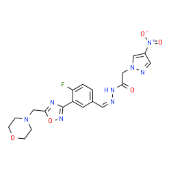ChemSpider 2D Image | N'-[(Z)-{4-Fluoro-3-[5-(4-morpholinylmethyl)-1,2,4-oxadiazol-3-yl]phenyl}methylene]-2-(4-nitro-1H-pyrazol-1-yl)acetohydrazide | C19H19FN8O5