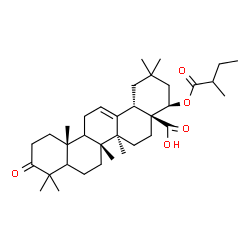 ChemSpider 2D Image | (5xi,9xi,22beta)-22-[(2-Methylbutanoyl)oxy]-3-oxoolean-12-en-28-oic acid | C35H54O5