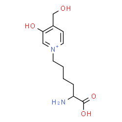 ChemSpider 2D Image | 6-[3-Hydroxy-4-(hydroxymethyl)-1-pyridiniumyl]norleucine | C12H19N2O4