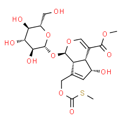 ChemSpider 2D Image | Methyl (1R,4aR,5R,7aR)-1-(beta-L-glucopyranosyloxy)-5-hydroxy-7-({[(methylsulfanyl)carbonyl]oxy}methyl)-1,4a,5,7a-tetrahydrocyclopenta[c]pyran-4-carboxylate | C19H26O12S