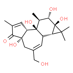 ChemSpider 2D Image | (1aS,1bR,4aS,7aR,7bR,8S,9S,9aR)-4a,7b,9,9a-Tetrahydroxy-3-(hydroxymethyl)-1,1,6,8-tetramethyl-1,1a,1b,4,4a,7a,7b,8,9,9a-decahydro-5H-cyclopropa[3,4]benzo[1,2-e]azulen-5-one | C20H28O6