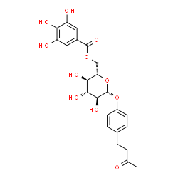 ChemSpider 2D Image | 4-(3-Oxobutyl)phenyl 6-O-(3,4,5-trihydroxybenzoyl)-beta-L-glucopyranoside | C23H26O11