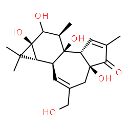 ChemSpider 2D Image | (1aR,1bS,4aS,7aS,7bS,8R,9aS)-4a,7b,9,9a-Tetrahydroxy-3-(hydroxymethyl)-1,1,6,8-tetramethyl-1,1a,1b,4,4a,7a,7b,8,9,9a-decahydro-5H-cyclopropa[3,4]benzo[1,2-e]azulen-5-one | C20H28O6