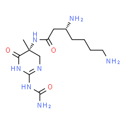 ChemSpider 2D Image | (3R)-3,7-Diamino-N-[(5R)-2-(carbamoylamino)-5-methyl-6-oxo-1,4,5,6-tetrahydro-5-pyrimidinyl]heptanamide | C13H25N7O3