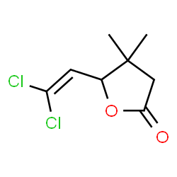 ChemSpider 2D Image | 5-(2,2-Dichlorovinyl)-4,4-dimethyldihydro-2(3H)-furanone | C8H10Cl2O2