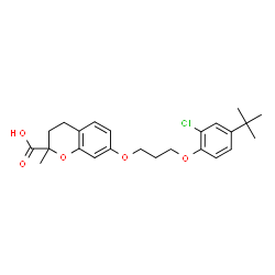 ChemSpider 2D Image | 7-{3-[2-Chloro-4-(2-methyl-2-propanyl)phenoxy]propoxy}-2-methyl-2-chromanecarboxylic acid | C24H29ClO5
