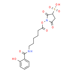 ChemSpider 2D Image | 1-({6-[(2-Hydroxybenzoyl)amino]hexanoyl}oxy)-2,5-dioxo-3-pyrrolidinesulfonic acid | C17H20N2O9S