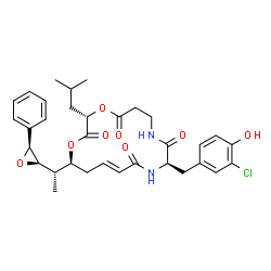 ChemSpider 2D Image | (3S,10R,13E,16S)-10-(3-Chloro-4-hydroxybenzyl)-3-isobutyl-16-{(1S)-1-[(2R,3S)-3-phenyl-2-oxiranyl]ethyl}-1,4-dioxa-8,11-diazacyclohexadec-13-ene-2,5,9,12-tetrone | C33H39ClN2O8