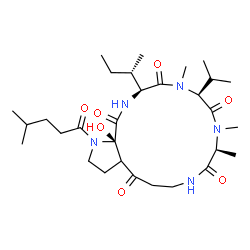 ChemSpider 2D Image | (9S,12S,15S,17aR)-15-[(2S)-2-Butanyl]-17a-hydroxy-12-isopropyl-9,10,13-trimethyl-1-(4-methylpentanoyl)dodecahydro-1H-pyrrolo[2,3-l][1,4,7,10]tetraazacyclohexadecine-4,8,11,14,17(5H)-pentone | C30H51N5O7