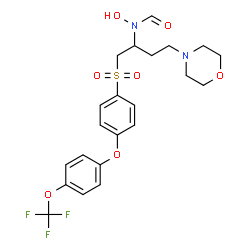 ChemSpider 2D Image | N-Hydroxy-N-[4-(4-morpholinyl)-1-({4-[4-(trifluoromethoxy)phenoxy]phenyl}sulfonyl)-2-butanyl]formamide | C22H25F3N2O7S