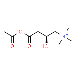 ChemSpider 2D Image | (2S)-4-Acetoxy-2-hydroxy-N,N,N-trimethyl-4-oxo-1-butanaminium | C9H18NO4