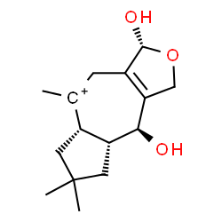 ChemSpider 2D Image | (1R,4S,4aR,7aR)-1,4-Dihydroxy-6,6,8-trimethyl-1,3,4,4a,5,6,7,7a,8,9-decahydroazuleno[5,6-c]furan-8-ylium | C15H23O3