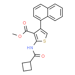 ChemSpider 2D Image | Methyl 2-[(cyclobutylcarbonyl)amino]-4-(1-naphthyl)-3-thiophenecarboxylate | C21H19NO3S