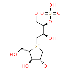 ChemSpider 2D Image | (2S,3R,4R)-1-[(2R,3R)-2,4-Dihydroxy-3-(sulfooxy)butyl]-3,4-dihydroxy-2-(hydroxymethyl)tetrahydrothiophenium | C9H19O9S2