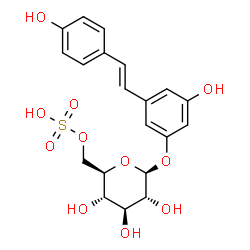 ChemSpider 2D Image | 3-Hydroxy-5-[(E)-2-(4-hydroxyphenyl)vinyl]phenyl 6-O-sulfo-beta-D-glucopyranoside | C20H22O11S