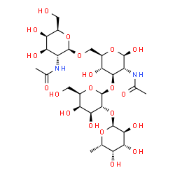 ChemSpider 2D Image | 2-Acetamido-2-deoxy-beta-D-galactopyranosyl-(1->6)-[6-deoxy-alpha-L-galactopyranosyl-(1->2)-beta-D-galactopyranosyl-(1->3)]-2-acetamido-2-deoxy-beta-D-glucopyranose | C28H48N2O20