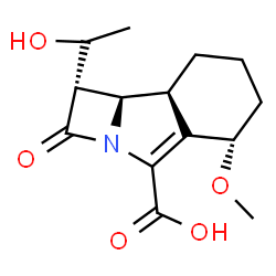 ChemSpider 2D Image | (1S,5S,8aS,8bR)-1-(1-Hydroxyethyl)-5-methoxy-2-oxo-1,2,5,6,7,8,8a,8b-octahydroazeto[2,1-a]isoindole-4-carboxylic acid | C14H19NO5