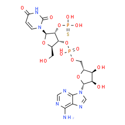 ChemSpider 2D Image | [(2R,3S,4R,5R)-5-(6-Amino-9H-purin-9-yl)-3,4-dihydroxytetrahydro-2-furanyl]methyl (2R,3R,4R,5R)-5-(2,4-dioxo-3,4-dihydro-1(2H)-pyrimidinyl)-2-(hydroxymethyl)-4-(thiophosphonooxy)tetrahydro-3-furanyl h
ydrogen phosphate | C19H25N7O14P2S