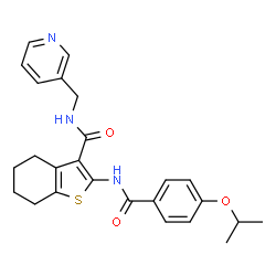ChemSpider 2D Image | 2-[(4-Isopropoxybenzoyl)amino]-N-(3-pyridinylmethyl)-4,5,6,7-tetrahydro-1-benzothiophene-3-carboxamide | C25H27N3O3S