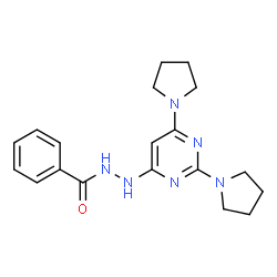 ChemSpider 2D Image | N'-[2,6-Di(1-pyrrolidinyl)-4-pyrimidinyl]benzohydrazide | C19H24N6O