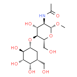 ChemSpider 2D Image | Methyl 2-acetamido-2-deoxy-4-O-[(1R,2R,3S,4S,5R)-2,3,4-trihydroxy-5-(hydroxymethyl)cyclohexyl]-beta-D-glucopyranoside | C16H29NO10