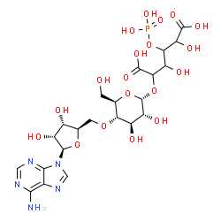 ChemSpider 2D Image | 2-{[(2R,3R,4R,5S,6R)-5-{[(2R,3S,4R,5R)-5-(6-Amino-9H-purin-9-yl)-3,4-dihydroxytetrahydro-2-furanyl]methoxy}-3,4-dihydroxy-6-(hydroxymethyl)tetrahydro-2H-pyran-2-yl]oxy}-3,5-dihydroxy-4-(phosphonooxy)h
exanedioic acid | C22H32N5O19P