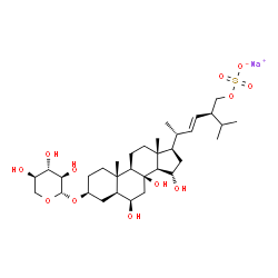 ChemSpider 2D Image | Sodium (3beta,5alpha,6beta,15alpha,22E,24S)-6,8,15-trihydroxy-3-(beta-D-xylopyranosyloxy)ergost-22-en-28-yl sulfate | C33H55NaO12S