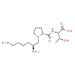 ChemSpider 2D Image | 1-[(2S)-2,6-Diaminohexyl]-D-prolyl-L-threonine | C15H30N4O4