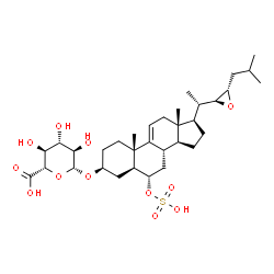 ChemSpider 2D Image | (3beta,5alpha,6alpha,22S,23S)-6-(Sulfooxy)-22,23-epoxycholest-9(11)-en-3-yl beta-D-glucopyranosiduronic acid | C33H52O12S