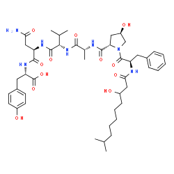 ChemSpider 2D Image | N-(3-Hydroxy-9-methyldecanoyl)-D-phenylalanyl-(4R)-4-hydroxy-L-prolyl-D-alanyl-L-valyl-D-asparaginyl-L-tyrosine | C46H67N7O12