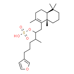 ChemSpider 2D Image | 6-(3-Furyl)-3-methyl-1-[(4aS,8aS)-2,5,5,8a-tetramethyl-3,4,4a,5,6,7,8,8a-octahydro-1-naphthalenyl]-2-hexanyl hydrogen sulfate | C25H40O5S
