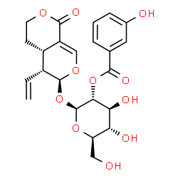 ChemSpider 2D Image | (4aS,5R,6S)-1-Oxo-5-vinyl-4,4a,5,6-tetrahydro-1H,3H-pyrano[3,4-c]pyran-6-yl 2-O-(3-hydroxybenzoyl)-beta-D-glucopyranoside | C23H26O11