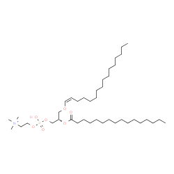 ChemSpider 2D Image | (7S,10Z)-4-Hydroxy-N,N,N-trimethyl-7-(palmitoyloxy)-3,5,9-trioxa-4-phosphapentacos-10-en-1-aminium 4-oxide | C40H81NO7P