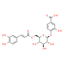 ChemSpider 2D Image | 4-({6-O-[(2E)-3-(3,4-Dihydroxyphenyl)-2-propenoyl]-beta-D-glucopyranosyl}oxy)-3-hydroxybenzoic acid | C22H22O12