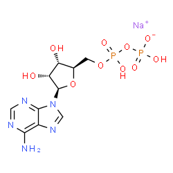 ChemSpider 2D Image | Sodium 5'-O-{hydroxy[(hydroxyphosphinato)oxy]phosphoryl}adenosine | C10H14N5NaO10P2