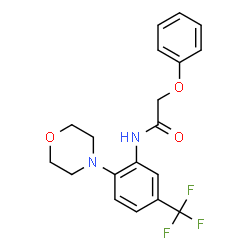 ChemSpider 2D Image | N-[2-(4-Morpholinyl)-5-(trifluoromethyl)phenyl]-2-phenoxyacetamide | C19H19F3N2O3