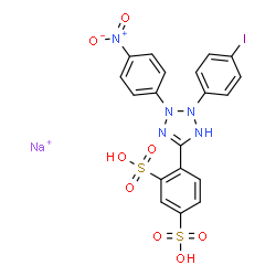 ChemSpider 2D Image | 1,3-Benzenedisulfonic acid, 4-[2,3-dihydro-2-(4-iodophenyl)-3-(4-nitrophenyl)-1H-tetrazol-5-yl]-, sodium salt (1:1) | C19H14IN5NaO8S2