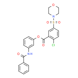 ChemSpider 2D Image | 3-(Benzoylamino)phenyl 2-chloro-5-(4-morpholinylsulfonyl)benzoate | C24H21ClN2O6S