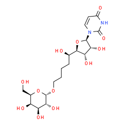 ChemSpider 2D Image | (5R)-5-[(2R,3S,4R,5R)-5-(2,4-Dioxo-3,4-dihydro-1(2H)-pyrimidinyl)-3,4-dihydroxytetrahydro-2-furanyl]-5-hydroxypentyl alpha-D-galactopyranoside | C19H30N2O12