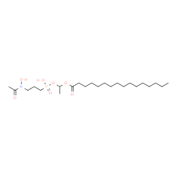 ChemSpider 2D Image | 1-{[{3-[Acetyl(hydroxy)amino]propyl}(hydroxy)phosphoryl]oxy}ethyl palmitate | C23H46NO7P