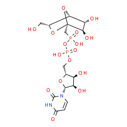 ChemSpider 2D Image | [(1R,2R,3R,4R,5R)-2,3-dihydroxy-5-(hydroxymethyl)-6,7-dioxabicyclo[2.2.1]heptan-1-yl]methyl-[[(2R,3S,4R,5R)-5-(2,4-dioxopyrimidin-1-yl)-3,4-dihydroxy-tetrahydrofuran-2-yl]methoxy-hydroxy-phosphoryl]oxy-phosphinic acid | C16H24N2O16P2