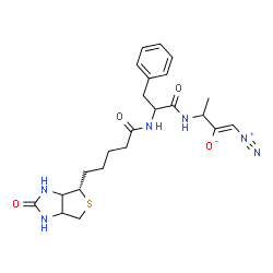 ChemSpider 2D Image | (1Z)-1-Diazonio-3-[(N-{5-[(4S)-2-oxohexahydro-1H-thieno[3,4-d]imidazol-4-yl]pentanoyl}phenylalanyl)amino]-1-buten-2-olate | C23H30N6O4S