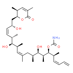 ChemSpider 2D Image | (3Z,5S,6S,7S,8R,9S,11Z,13S,14S,15S,16Z,18S)-19-[(2S,3S)-3,5-Dimethyl-6-oxo-3,6-dihydro-2H-pyran-2-yl]-8,14,18-trihydroxy-5,7,9,11,13,15-hexamethyl-1,3,11,16-nonadecatetraen-6-yl carbamate | C33H53NO7